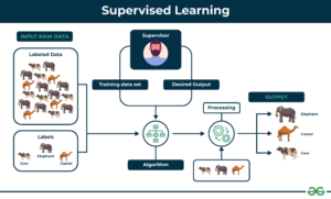 Supervised vs Unsupervised Learning: Complete Guide 2025 | ML Algorithms